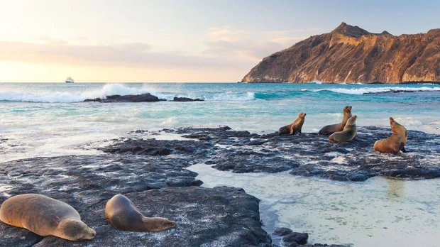 Unesco aprobó ampliación de la Reserva de Biosfera Galápagos