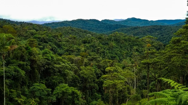 El Zarza, un refugio de vida silvestre en Zamora Chinchipe