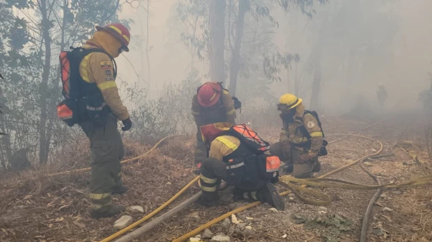 11 incendios forestales se registran en Ecuador
