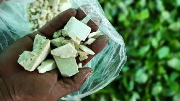 Condenan a 19 años de prisión a hombre por tráfico de drogas en Orellana