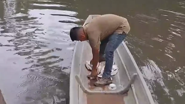 Contaminación en el río Shushufindi deja cientos de peces muertos