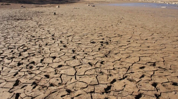 El Niño podría generar pérdidas de más de $10,7 billones para la industria colombiana