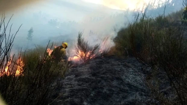 Controlado incendio en el cerro Ilaló, cercano a la capital ecuatoriana