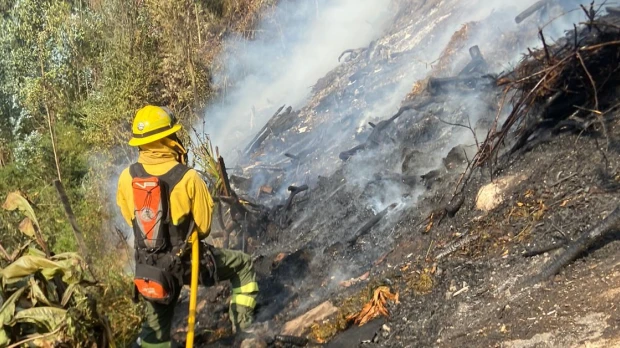 Reportadas 79 emergencias por incendios forestales en Quito en lo que va de 2023 