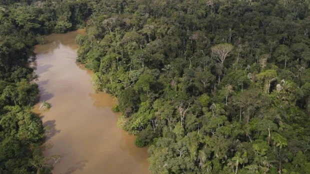 El Yasuní encabeza la lista de National Geographic