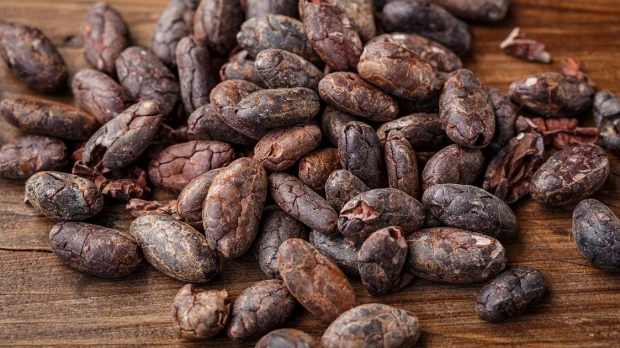 El precio del cacao ha caído abruptamente en los últimos días