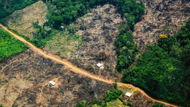 El cierre de USAID preocupa a líderes indígenas de la Amazonía colombiana 