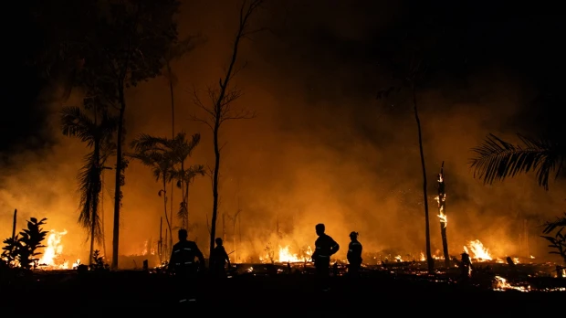 La Amazonía brasileña registra 8.977 incendios en el primer cuatrimestre