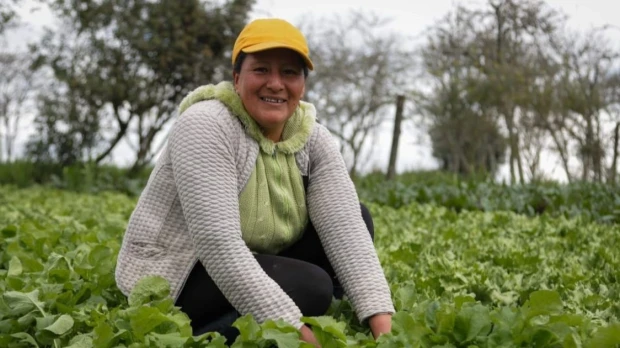 Registro Agropecuario completa primera fase en nueve provincias de Ecuador