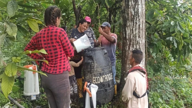 La Federación Shuar ejecuta un proyecto de cacao orgánico con el apoyo de Lundin Gold