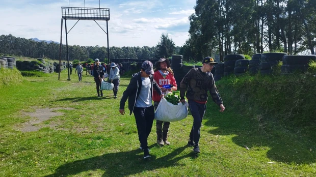 La Universidad Católica busca sembrar 1 millón de árboles en Ecuador