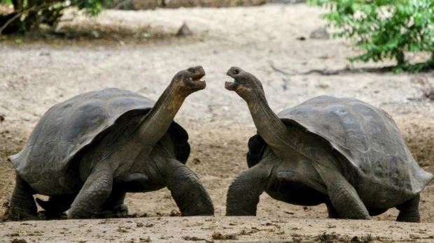 WWF apoya ley de áreas protegidas de Ecuador pero pide ajustes