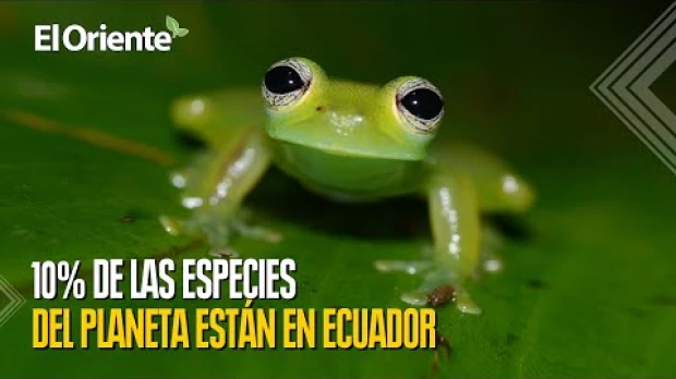 Día mundial del ambiente. 5 curiosidades de Ecuador