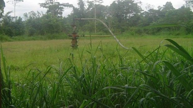 2 trabajadores de Petroecuador fueron hallados asesinados en Shushufindi
