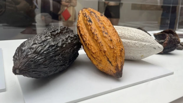 El cacao ecuatoriano se exhibe en Madrid