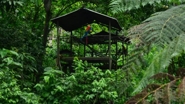 El Parque Turístico Nueva Loja, un oasis de 30,9 hectáreas