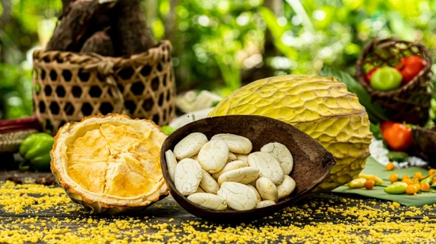 Macambo, una fruta poco conocida y con gran potencial