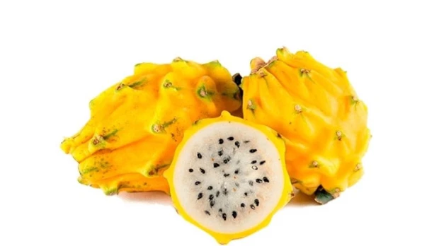 Cerca de 18 mil toneladas de pitahaya se exportaron en el 2021