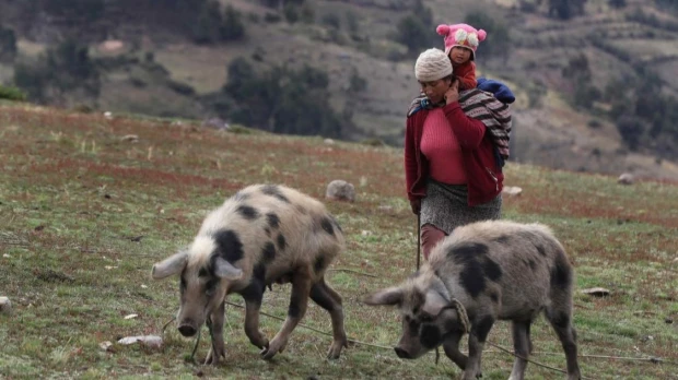 Niños en frontera de Perú, Colombia y Brasil viven "en extrema vulnerabilidad"