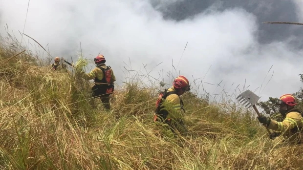 18.500 hectáreas han sido afectadas por incendios en Loja y Azuay