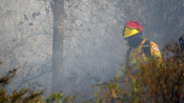 Cinco incendios movilizaron a equipos de emergencia en cuatro provincias