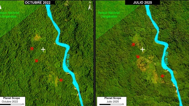 La expansión de pastos impulsa la deforestación en la Amazonía ecuatoriana  