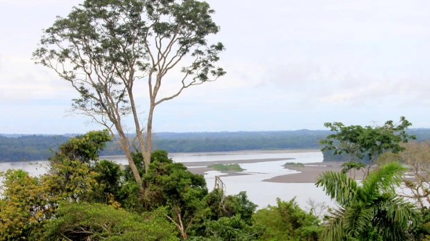Día Mundial del Medio Ambiente: Ecuador enfrenta serias amenazas