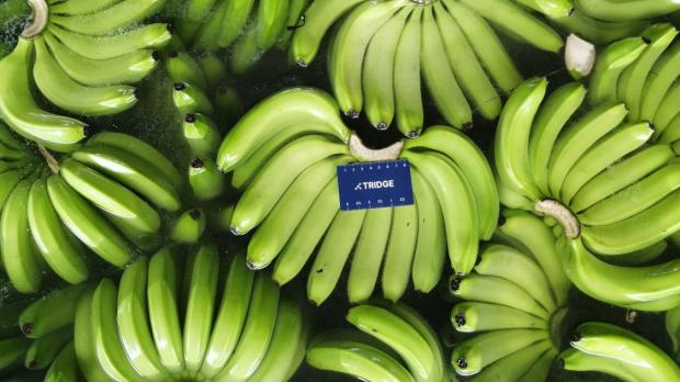 El secretario general de la organización, Haitham Al Ghais, se reunió con Fernando Santos, ministro de Energía y Mina / Foto: EFE