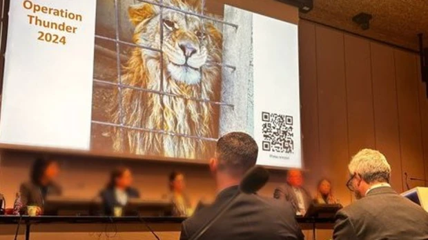 Interpol arrestó a 365 personas por tráfico de animales y plantas 