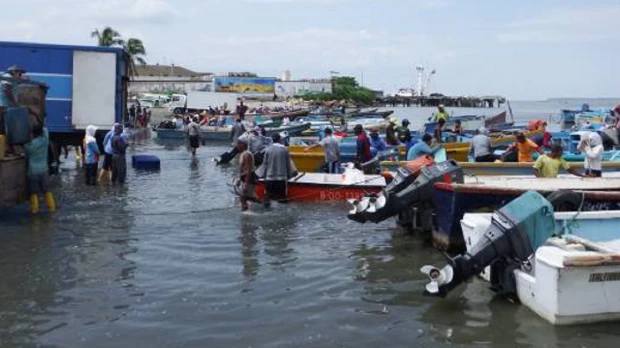 Eficiencia energética en la pesca artesanal