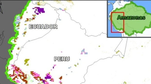 La agricultura es la principal causa de deforestación en la Amazonía 