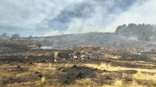 Perú extinguió 9 incendios forestales que afectaron más de 900 hectáreas