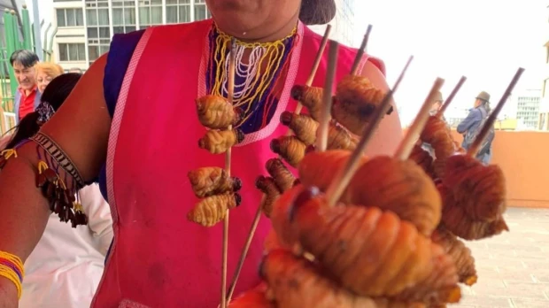 Chontacuro, la larva que forma parte de la gastronomía amazónica