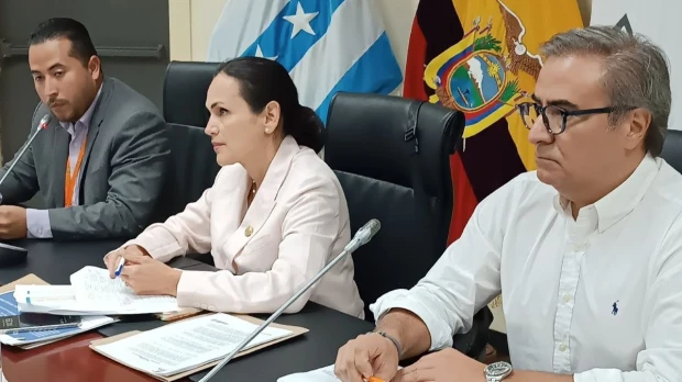 Inés Manzano será la cuarta ministra de Energía de Noboa 