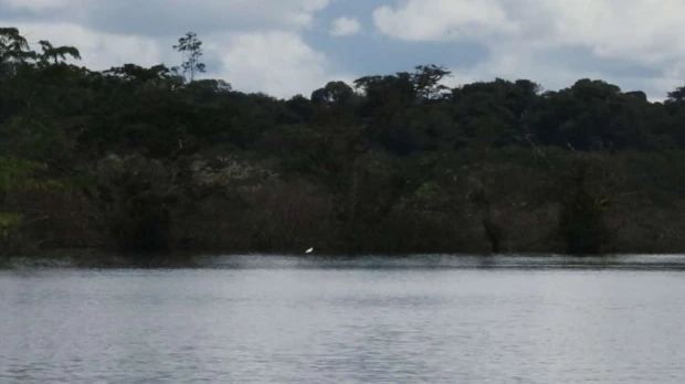 Reserva Faunística Cuyabeno, un aniversario más junto a nuevas especies