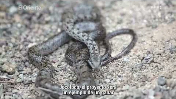 Inicia proyecto de restauración ecológica en Galápagos