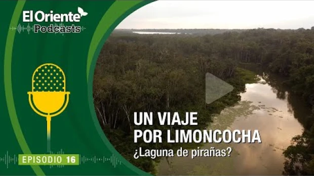 La Voz de la Amazonía: Un Viaje por Limoncocha ¿Laguna de pirañas?