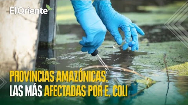 Las provincias amazónicas son las más afectadas por la bacteria E. coli