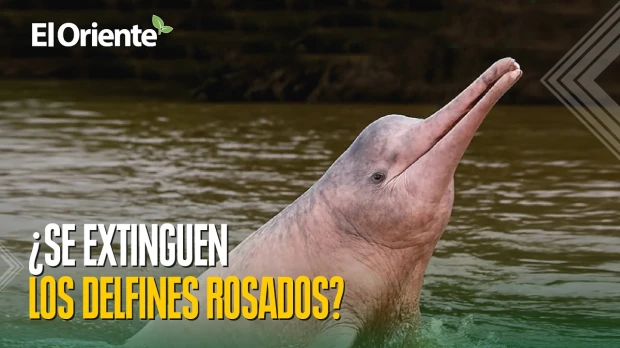 Noticias de Ecuador hoy. Podcast Noti Oriente [29 de junio de 2026]