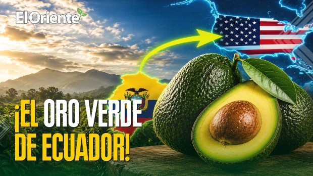 Noticias de Ecuador hoy. Podcast Noti Oriente [6 de julio de 2026]