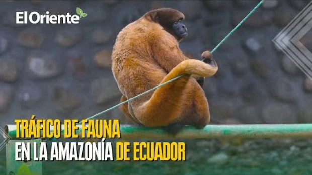 Noticias de Ecuador hoy. Podcast Noti Oriente [28 de junio, 2024]