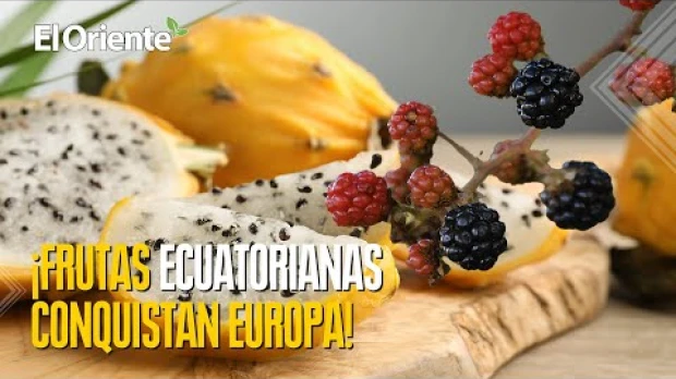 Noticias de Ecuador. Podcast Noti Oriente [16 de mayo de 2025] 
