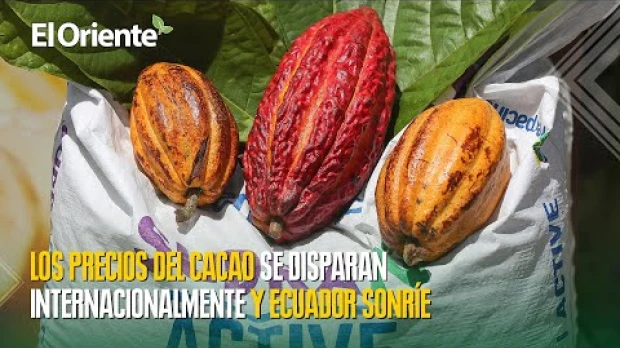 Noticias de Ecuador. Podcast Noti Oriente [21 de febrero, 2024] 