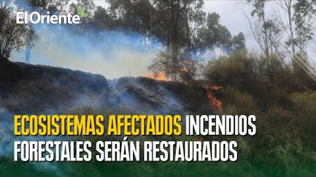 Noticias de Ecuador. Podcast Noti Oriente [30 de septiembre, 2024]  