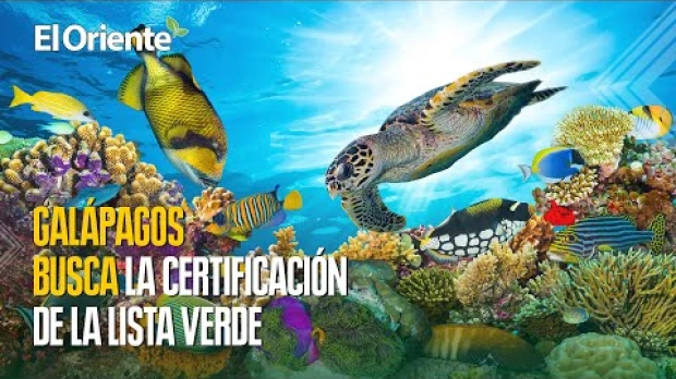 Noticias de Ecuador. Podcast Noti Oriente [4 de agosto, 2023]