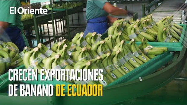 Noticias de Ecuador. Podcast Noti Oriente [6 de noviembre, 2024]  