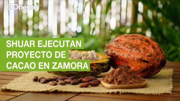 Noticias Ecuador. Podcast Noti Oriente 07-12-2022