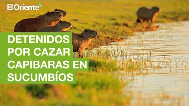 Noticias Ecuador. Podcast Noti Oriente 14-10-2022