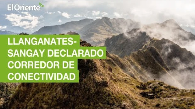 Entérese de las noticias más relevantes de la región Amazónica de Ecuador en nuestro podcast Noti Oriente, hechos que son noticia.