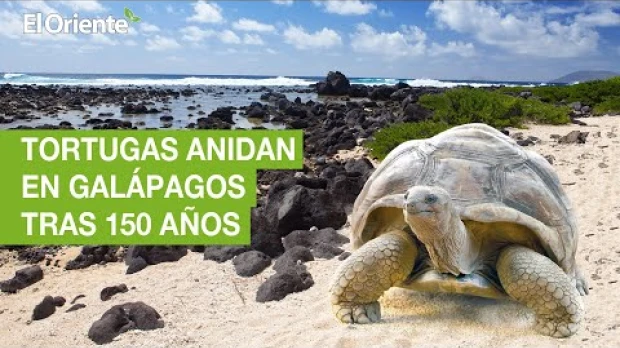 Noticias Ecuador. Podcast Noti Oriente 16-12-2022